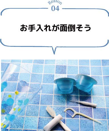 お手入れが面倒そう